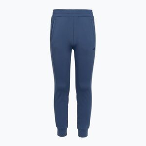 Gyerek nadrág 4F The Gym Power FNK M1152 navy (The Gym Power FNK M1152 4FJWSS26TFTRM1152) kép