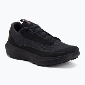 Férfi futócipő Arcteryx Norvan LD 4 GTX black/black (Norvan LD 4 GTX X000010397005) kép