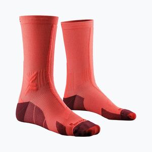 Férfi zokni X-Socks Trailrun Discover Crew fluo red/namib red (Trailrun Discover Crew XS-RQDTS24M) kép