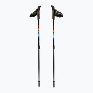 Nordic walking botok Fizan Speed Junior rainbow (Speed Junior 100508) kép