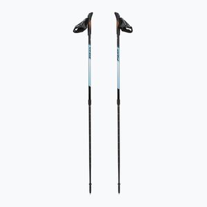 Nordic walking botok Fizan Speed light blue (Speed 100506) kép