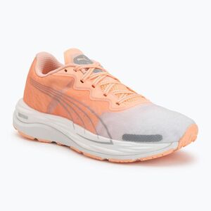 Női futócipő Puma Velocity Nitro 2 melon/white/grey (Velocity Nitro 2 376265 01) kép