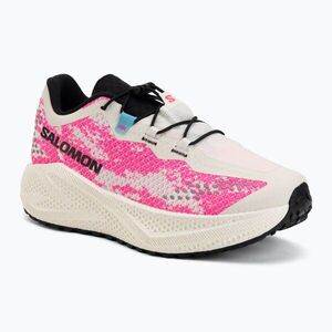 Férfi futócipő Salomon Aero Glide 4 GRVL vanilla ice/knockout pink/black (Aero Glide 4 GRVL L49174800) kép
