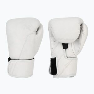 Bokszkesztyűk Hayabusa T360 Leather white (T360 Leather T360LBG-WH) kép
