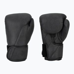 Bokszkesztyűk Hayabusa T360 Leather black (T360 Leather T360LBG-BK) kép