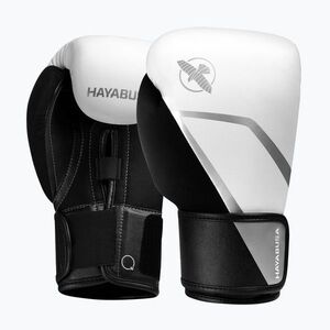 Bokszkesztyűk Hayabusa E1 Boxing white/silver (E1 Boxing E1BG-WHSV) kép