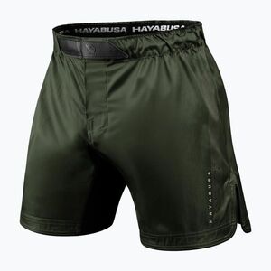 Férfi edző rövidnadrág Hayabusa Apex Fight 3/4 green (Apex Fight 3/4 CFS8-GR) kép