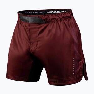 Férfi edző rövidnadrág Hayabusa Core Fight Mid red (Core Fight CFS5-RD) kép