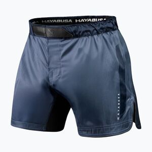Férfi edző rövidnadrág Hayabusa Core Fight black (Core Fight CFS5-BK) kép