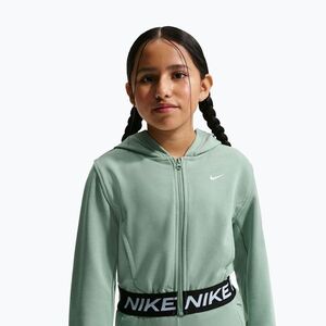 Gyerekpulóver Nike Pro Fleece Dri-Fit Full-Zip steam/steam/black/white (Pro Fleece Dri-Fit Full-Zip HQ9312-006) kép