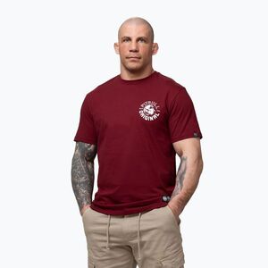 Férfi póló Pitbull Dog SD burgundy (Dog SD 215118460001) kép