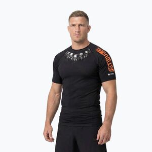 Férfi rashguard Pitbull Blacky Rashguard black (Blacky Rashguard 946003900001) kép