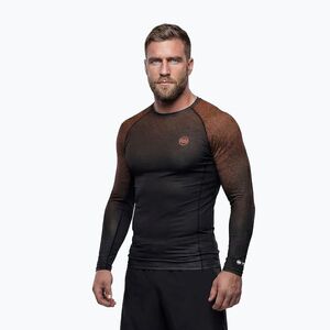 Férfi hosszú ujjú rashguard Pitbull Belt Rashguard brown (Belt Rashguard 956006850001) kép