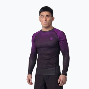 Férfi hosszú ujjú rashguard Pitbull Belt Rashguard purple (Belt Rashguard 956006490001) kép