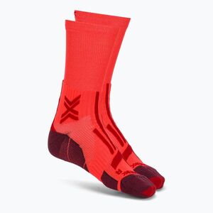 Férfi zokni X-Socks Trailrun Perform Crew fluo red/namib red (Trailrun Perform Crew XS-RQPTS24M) kép