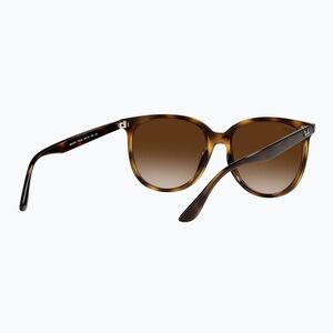 Napszemüveg Ray-Ban RB4378 havana/brown gradient (RB4378 RB4378 710/1354) kép