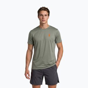 Férfi póló Aulp Tommy lichen (TOMMY M/NAVY) kép
