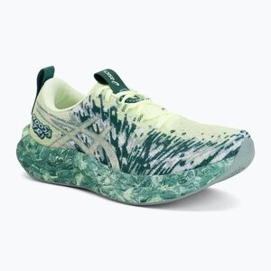 Férfi futócipők ASICS Noosa Tri 16 illuminate yellow/jewel green (Noosa Tri 16 1011B872-753) kép
