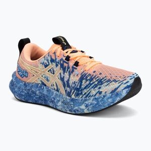 Férfi futócipők ASICS Noosa Tri 16 bright sunstone/soft sky (Noosa Tri 16 1011B872-801) kép