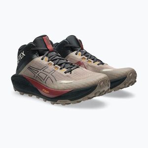 Férfi futócipők Asics Gel-Trabuco Mt Gtx taupe grey/graphite grey (Gel-Trabuco MT GTX 1011C085-020) kép