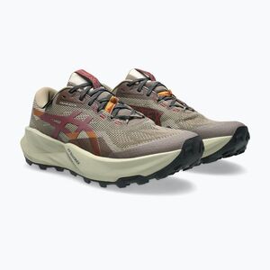 Férfi futócipők Asics Trabuco 14 Gtx taupe grey/oatmeal (Trabuco 14 GTX 1011C165-020) kép