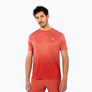 Férfi teniszpóló Tecnifibre Team X-Loop terracotta (Team X-Loop Tee 22XLOOTE61) kép