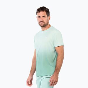 Férfi teniszpóló Tecnifibre Team X-Loop sage (Team X-Loop Tee 22XLOOSA61) kép
