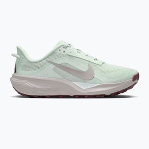 Női futócipők Nike ACG Pegasus Trail barely green/light bone/silver lilac (ACG Pegasus Trail HV8121-302) kép