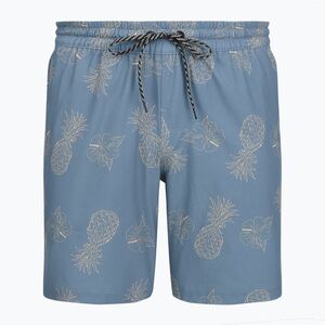 Férfi fürdőnadrág Hurley Pineapple Volley Swim Short Blue/Brown (Pineapple Volley HSP25VMS17488-425) kép