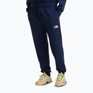 Férfi trekkingnadrág The North Face Simple Dome Light Regular Tapered Jogger summit navy (Simple Dome Light Regular Tapered NF0A8C418K21) kép
