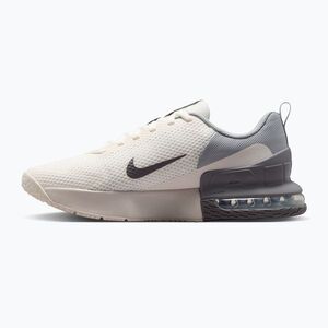 Férfi edzőcipők Nike Air Max Alpha Trainer 6 sail/light smoke grey/phantom/pencil point (Air Max Alpha Trainer 6 FQ1833-115) kép