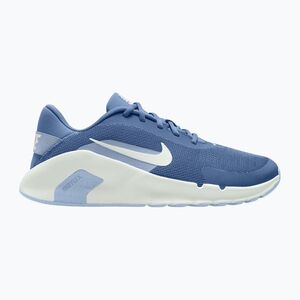 Férfi edzőcipők Nike Flex Train indigo storm/hydrogen blue/summit white (Flex Train HV9972-402) kép