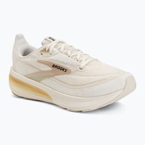 Női futócipők Brooks Revel 9 arctic wolf/coconut/black (Revel 9 1204891B250.070) kép