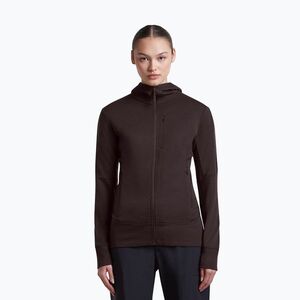 Női pulóver Icebreaker Merino 260 Quantum IV LS Zip Hoodie bittersweet (Merino 260 Quantum IV Zip Hoodie IBBA56XRC991) kép