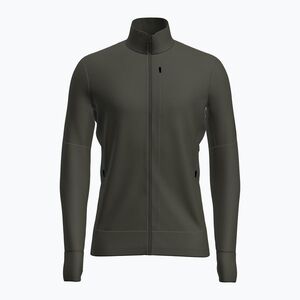 Férfi trekking pulóver Icebreaker Merino 260 Quantum IV LS Zip dark loden (Merino 260 Quantum IV Zip IBBA56W10L11) kép