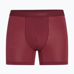 Férfi Termoaktív boxer nadrág icebreaker Anatomica Boxers port (Anatomica IB10302901C1) kép