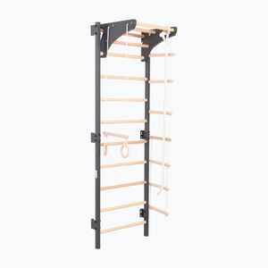 Gimnasztikai létra RINAGYM Steel Kom 2 graphit (Steel Kom 2 RNG STEEL KOM 2 GRAPHIT) kép