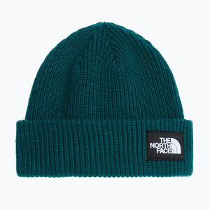 Téli sapka The North Face Salty Lined pacific teal (Salty Lined NF0A8CGZN4J1) kép