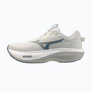 Férfi futócipők Mizuno Wave Rider 30 foggy dew/dark slate/white (Wave Rider 30 J1GM262055) kép