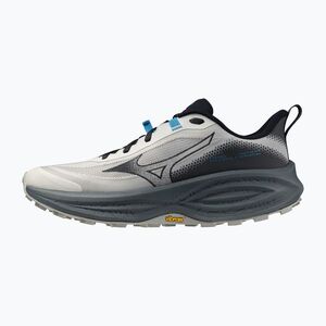 Férfi futócipők Mizuno Neo Daichi 10 foggy dew/vulcan/dark slate (Neo Daichi 10 J1GM268051) kép