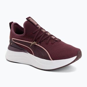 Női cipők Buty Puma Softride Sabrina ruby noir/dusky rose (Softride Sabrina 313503 01) kép