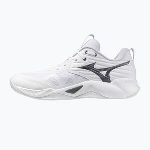 Röplabda cipő Mizuno Wave Momentum Pro white/metallic gray/black (Wave Momentum Pro V1GA254083) kép