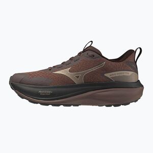 Női futócipők Mizuno Wave Rider Tt 4 peppercorn/simply taupe/black (Wave Rider TT 4 J1GW263272) kép