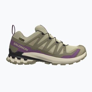 Női futócipők Salomon XA Pro 3D V9 GTX bog/aloe (XA Pro 3D V9 GTX L49145800) kép
