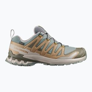Férfi futócipők Salomon XA Pro 3D V9 GTX sedona sage/brilliant olive (XA Pro 3D V9 GTX L49229600) kép