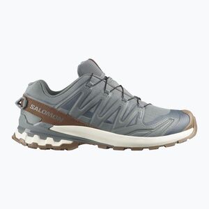 Férfi futócipők Salomon XA Pro 3D V9 GTX Lifelong sedona sage/coyote brown (XA PRO 3D V9 GTX Lifelong L49296100) kép