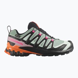 Női futócipők Salomon XA Pro 3D V9 GTX Icon black/green milieu (XA Pro 3D V9 GTX Icon L45486700) kép