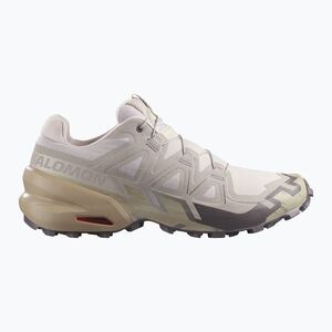 Férfi futócipők Salomon Speedcross 6 silver cloud/paloma (Speedcross 6 L49200100) kép