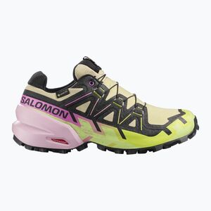 Női futócipők Salomon Speedcross 6 GTX bog/dawn pink (Speedcross 6 GTX L47985700) kép
