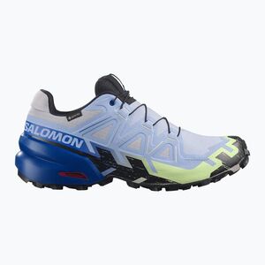 Férfi futócipők Salomon Speedcross 6 GTX Icon brunnera blue/surf the web (Speedcross 6 GTX Icon L45486800) kép